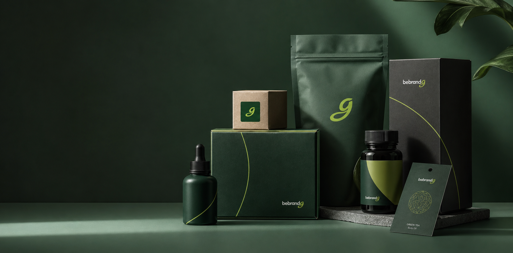 Professional packaging design presentation