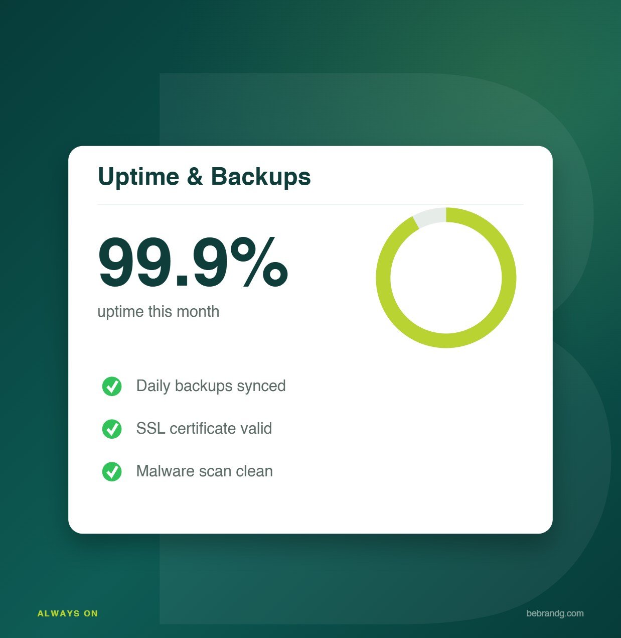 Bebrandg Website Management service visual